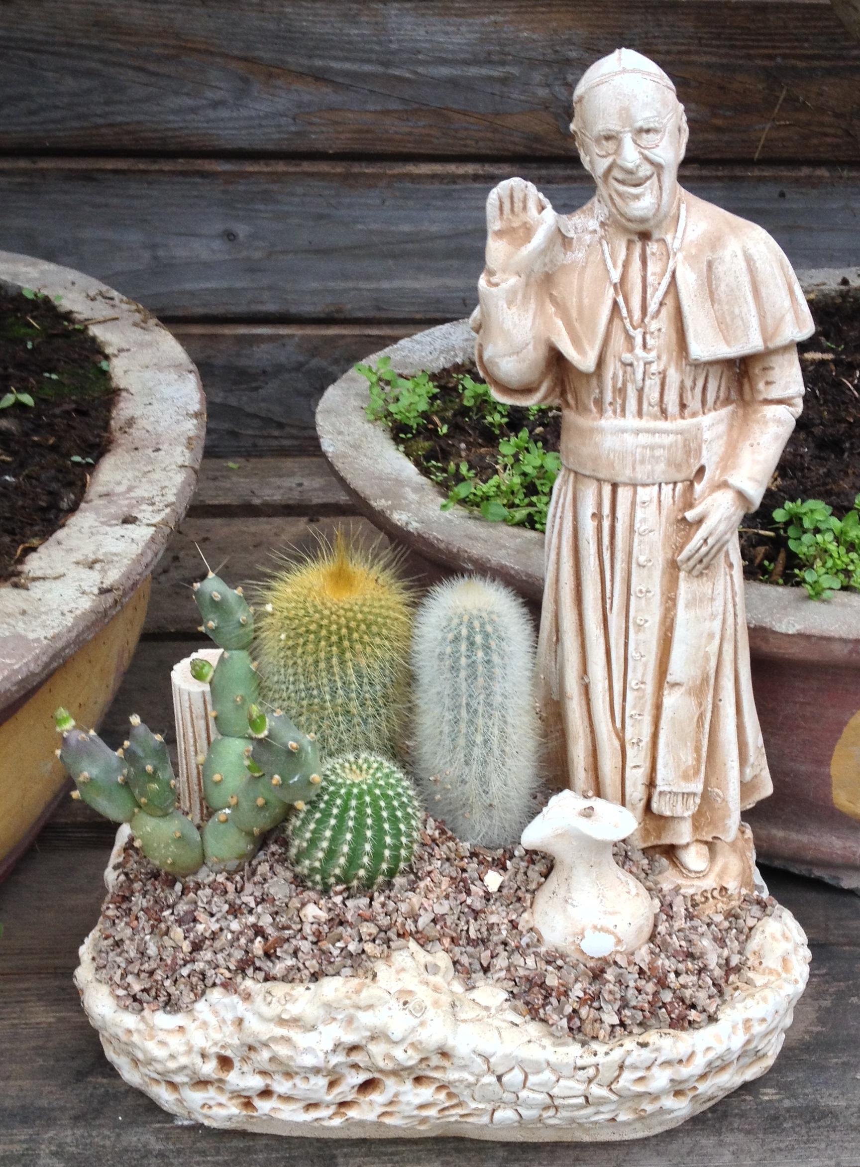 Statuetta Papa Francesco con piante grasse